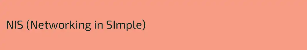 NIS (Networking in SImple)